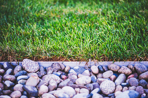 Landscaping: Freshly laid sod next to stone border