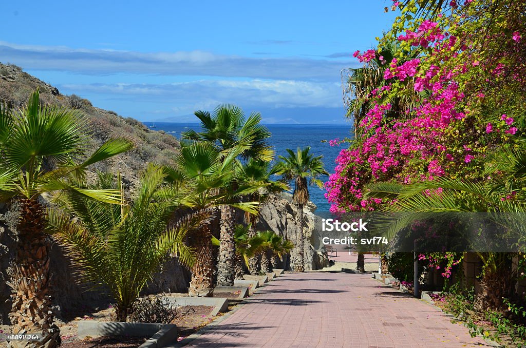 Beautiful street in Tenerife, Canary Islands. Beautiful street in Tenerife, Canary Islands,Spain. 2015 Stock Photo