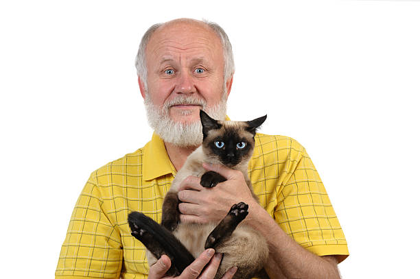 istock senior balding man with siamese cat 488914665