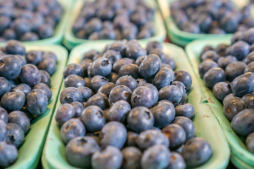 close up of rows of green trays that contain the super food blueberries with a shallow depth of field
