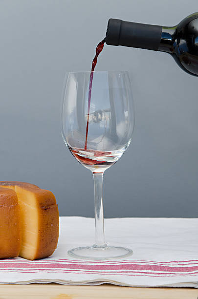 istock Cheese, drinking glass and bottle of Malbec wine 488917110
