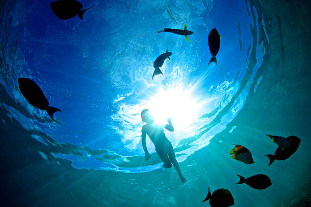 istock Silhouetted girl swims over fish 488917440
