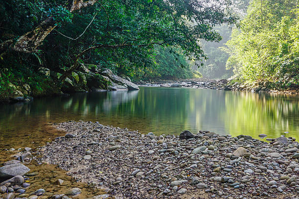 Small nature jungle river in Sabah Malaysian Borneo. Small tranquil nature jungle river with rocky riverbank and calm water with colorful early morning lights reflection in Sabah Malaysian Borneo. A perfect zen background. riverbank photos stock pictures, royalty-free photos & images