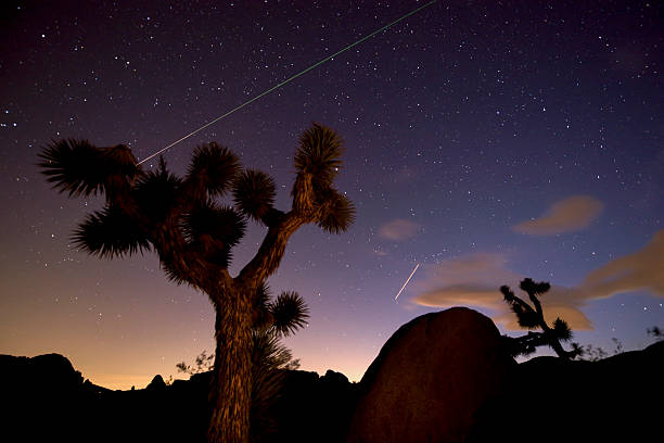 Night in Joshua Tree National Park