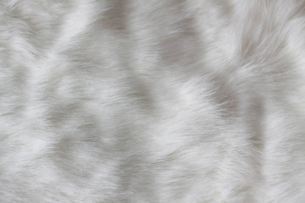 istock white faux fur as an abstract background 488937777