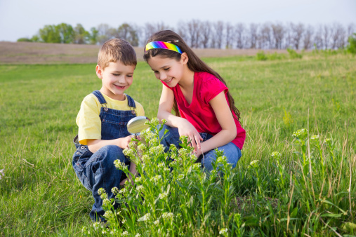 Kids looking to flower through a magnifying glass, outdoor