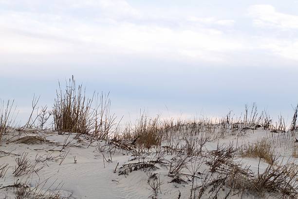 istock Beach Dunes Taken near Sunset 488941607