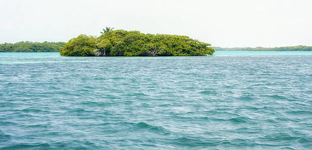 istock Photo taken in Belize 488942503
