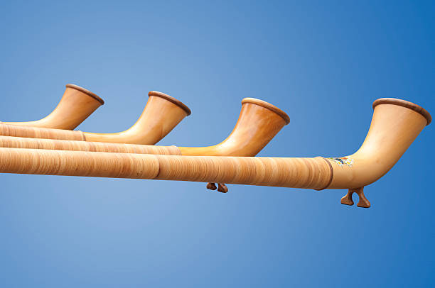 Isolated Alphorns in Switzerland Traditional musical instruments in Switzerland isolated alpenhorn stock pictures, royalty-free photos & images