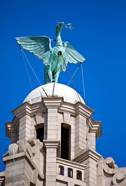 istock Liver Bird Perched on the Royal Liver Building 488943775