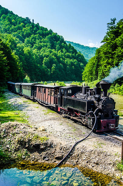 Mocanita train in Vaser Valley, Maramures The Well known Mocanita train in Vaser Valley, Maramures County runs on the railway constructed in 1933-1935 maramureș stock pictures, royalty-free photos & images