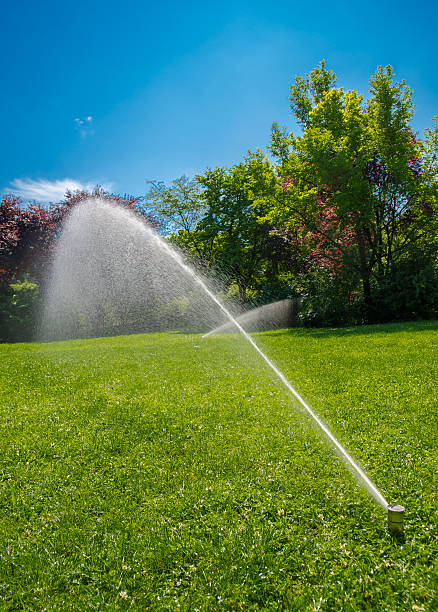 istock Lawn Sprinkler With Freshwater In Park 488944345