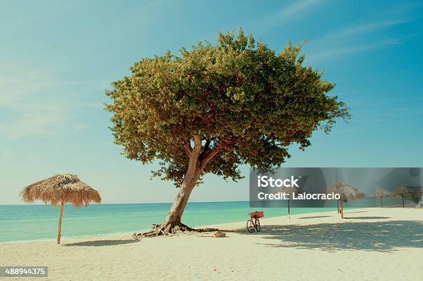 Tranquila Playa Tropical Con Un Árbol Foto de stock y más banco de imágenes de Agua - Agua, Agua potable, Aire libre