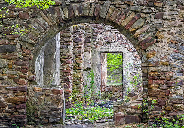 istock Fragment of stone old ruins overgrown with plants 488944709