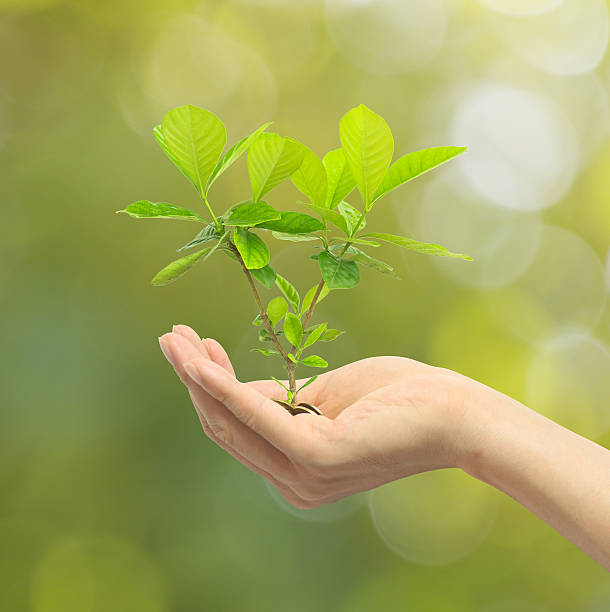 istock hand holding plant ecological concept,bio energy 488948444