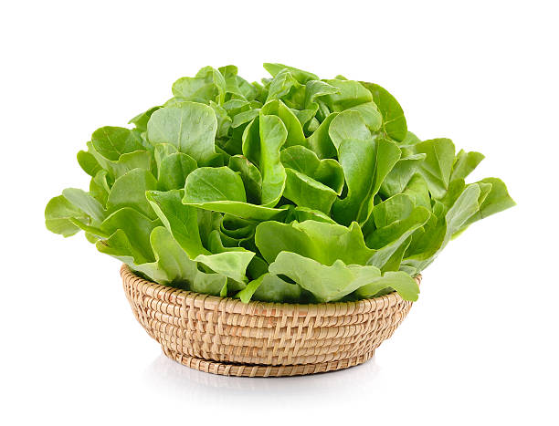 istock Green Oak in the basket on white background 488949232