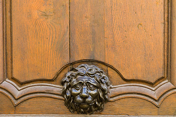 Metal Lion head on door