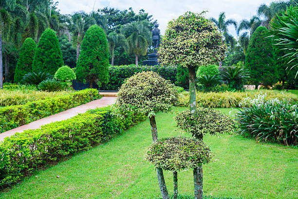 istock green trees in the garden 488952640