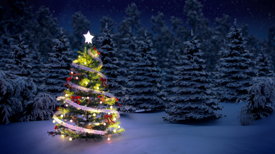 illuminated christmas tree among snow covered pine trees at night.