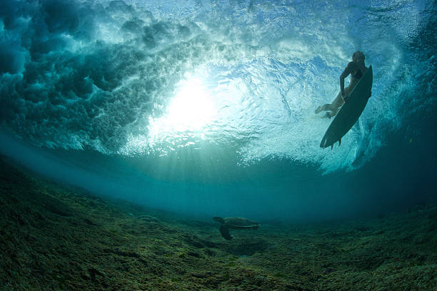 istock Surfer girl duck dives a wave with a turtle 488954186