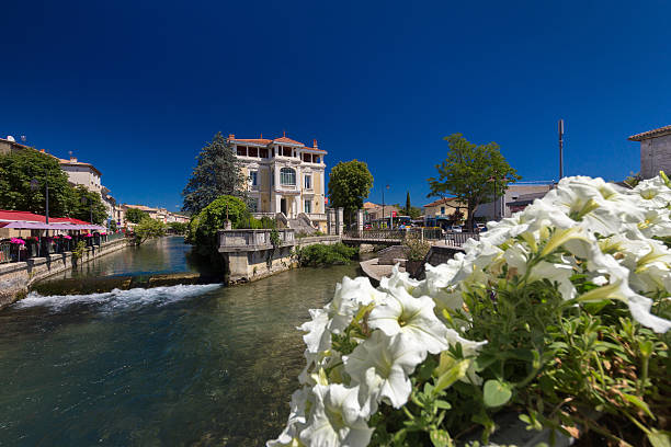 istock Provence, France 488956670