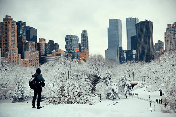 central park zimowy - new york city new york state skyline winter zdjęcia i obrazy z banku zdjęć