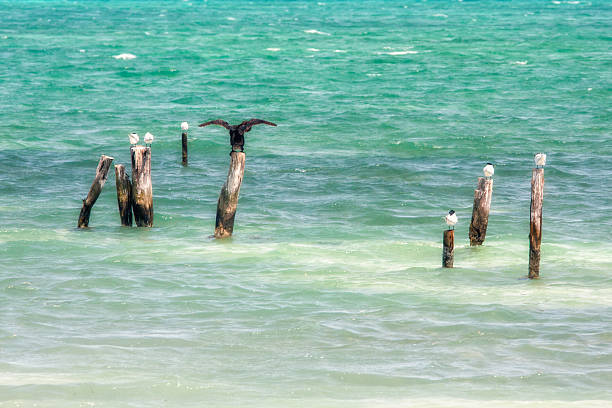 istock Photo taken in Belize 488959165