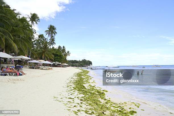 Alona Beach Panglao Island Philippines Stock Photo - Download Image Now - 2015, Algae, Asia