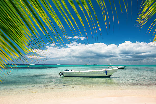 istock Exotic Beach in Dominican Republic 488960320