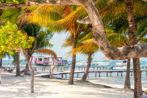 istock Photo taken in Belize 488960711