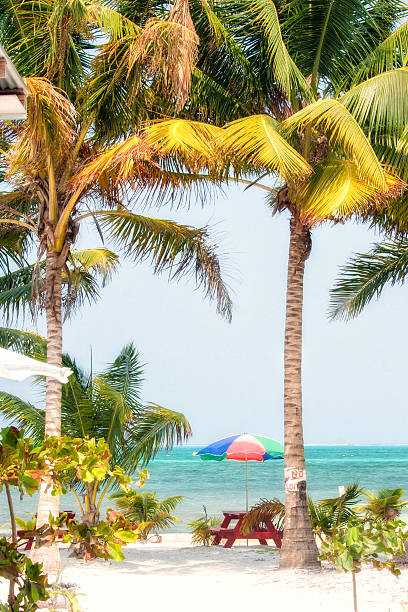 istock Photo taken in Belize 488960999