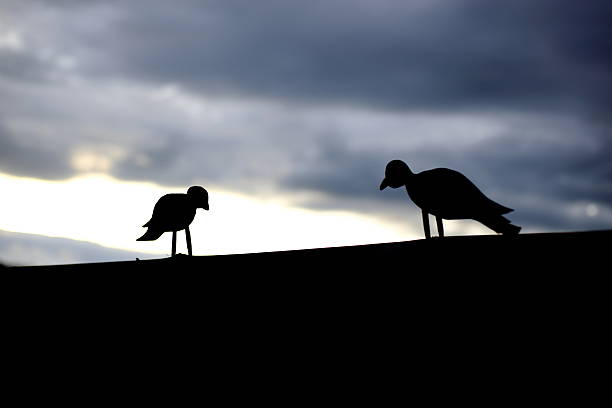 istock Bird standing on wood Silhouette 488961192