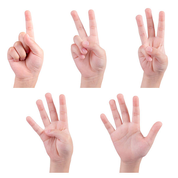 istock isolated children hands show the number 488961197