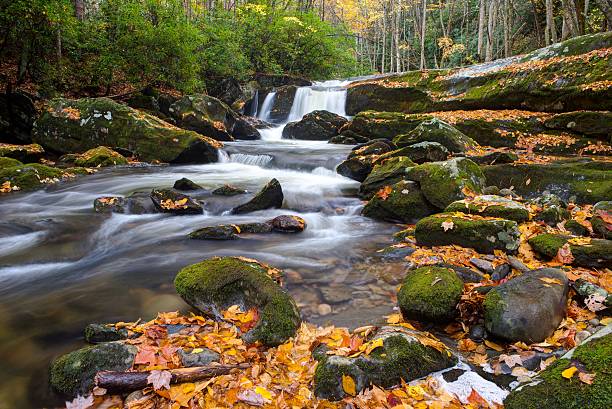 Lynn Camp Prong Cascades in Great Smoky Mountains National Park stock photo