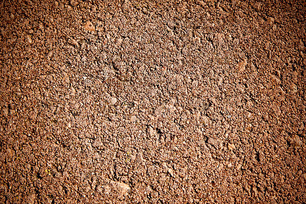 istock texture of paving stone 488961393
