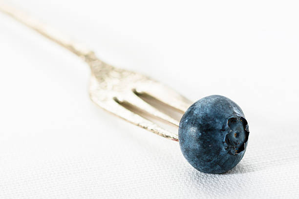 Singe blueberry on a silver fork stock photo
