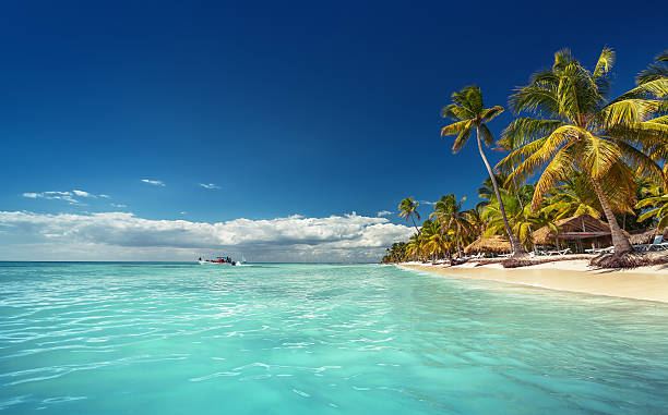 istock Landscape of paradise tropical island beach 488961572