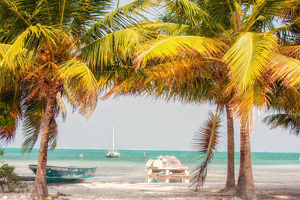 istock Photo taken in Belize 488961923