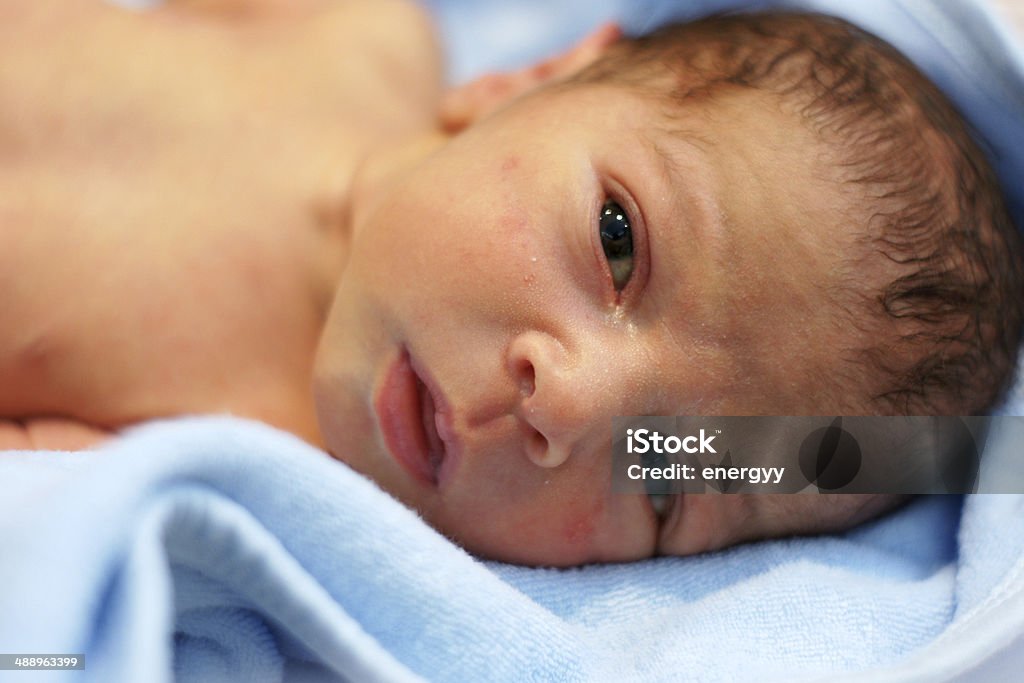 newborn baby Dry Stock Photo