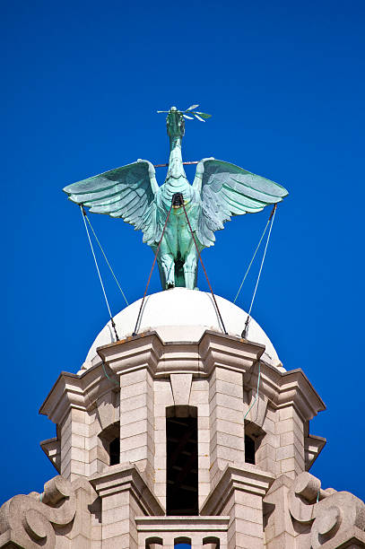 istock Liver Bird Perched on the Royal Liver Building 488964559