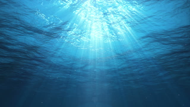 Underwater Sun Rays in the Ocean (Loop)