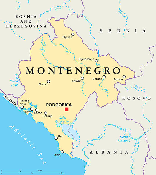 Montenegro Political Map Montenegro political map with capital Podgorica, national borders, important cities, rivers and lakes. English labeling and scaling. Illustration. montenegro stock illustrations