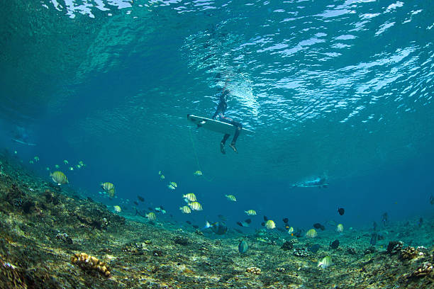 istock Underwater photo surfer waiting for a wave 488974292