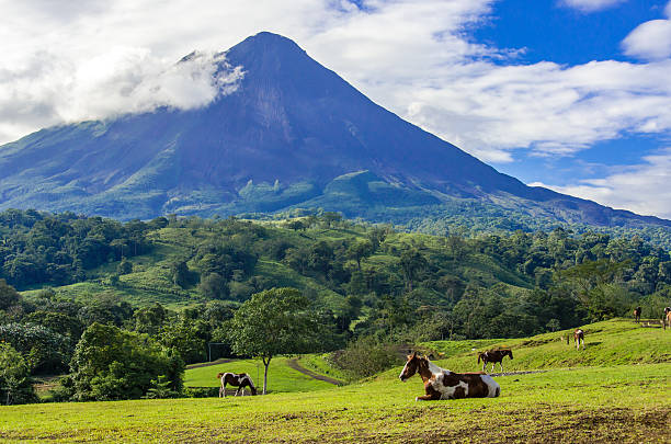 istock Vulcano Arenal - Horses on pasture 488974960