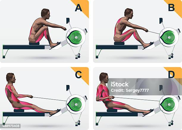 Muscle Work On Rowing Macine Stock Illustration - Download Image Now - Rowing Machine, Exercising, Relaxation Exercise