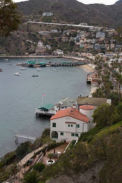 istock Santa Catalina island 488976377