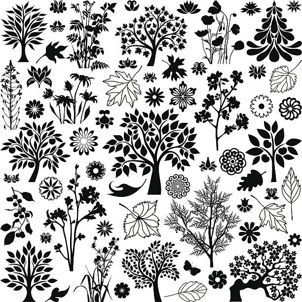 ilustrações de stock, clip art, desenhos animados e ícones de árvores e plantas - hawthorn flower single flower spring