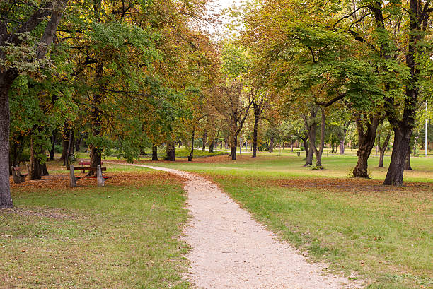 istock Autumn park with road 488982628