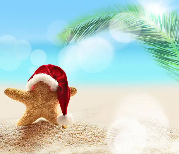 Summer beach. Merry Christmas. Starfish in Santa Claus hat.