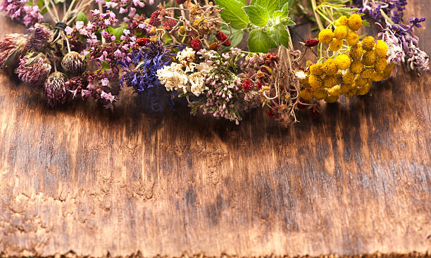 istock Herbs and flowers, herbal medicine. 488984452